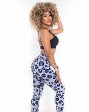 Load image into Gallery viewer, Grey Leopard
